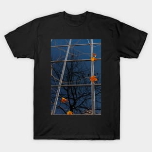 Autumn Leaves T-Shirt